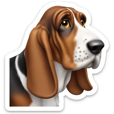 Basset hound sticker