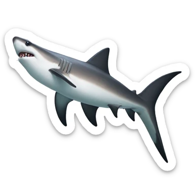 Hammerhead shark sticker