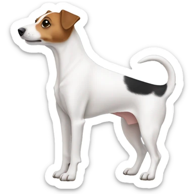 Jackrussell body side sticker