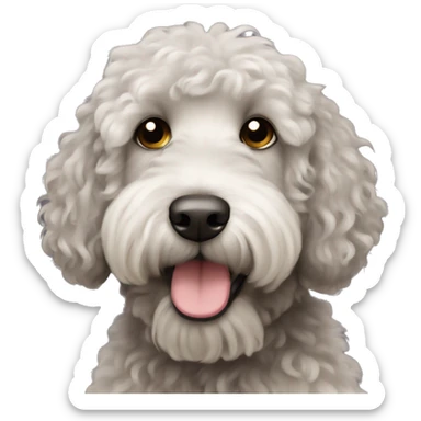 Black curly hair labradoodle dog with a white beard sticker