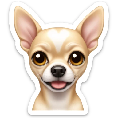 A large female chihuahua with beige-white coloring, with large erect ears, large eyes with a large black shiny pupil sticker