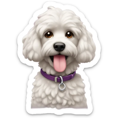 Caniche con su correa sticker