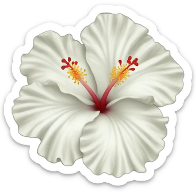 White Hibiscus sticker
