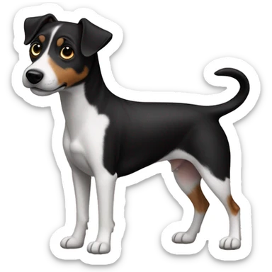All Black dog Jack Russell Terrier full body sticker