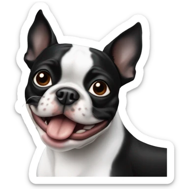 Boston terrier black & white with sausage sticker