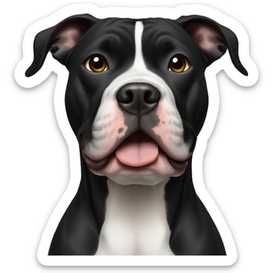 all black pitbull with white chest and potato in his mouth sticker