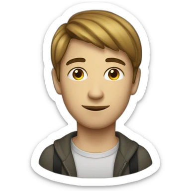 Programmer in 14 years old sticker