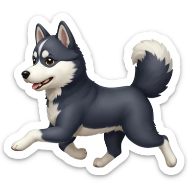a black and white husky dog running towards the left sticker
