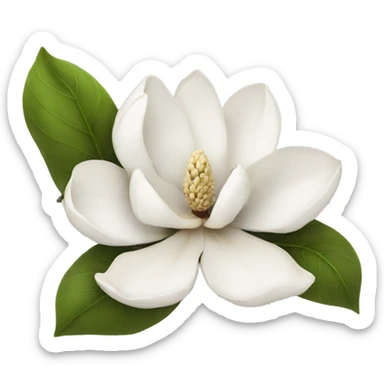 White magnolia  sticker