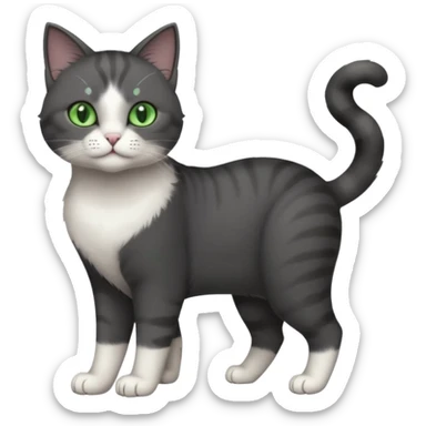 full body view of beautiful female solid dark grey cat with green eyes, white toes/paws and white patch on her chest sticker