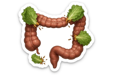 foglie di insalata che attaccano un intestino anatomico umano per distruggerlo sticker