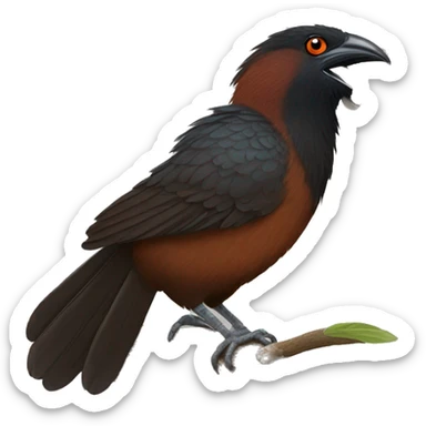 Greater coucal sticker