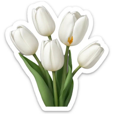 white tulips  sticker