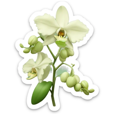 Pastel Green orchid with beige flower sticker