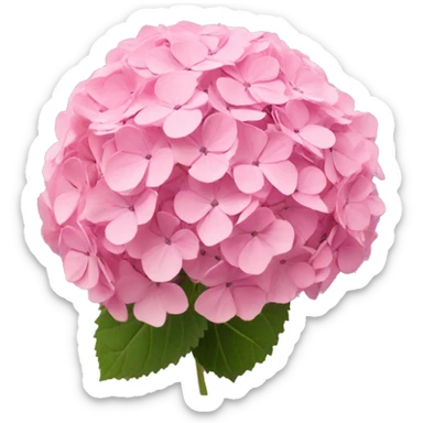 Pink hydrangea sticker