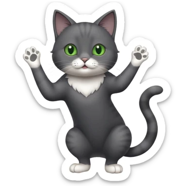 full body gorgeous solid dark grey cat with green eyes, white paws and white whiskers playing sticker