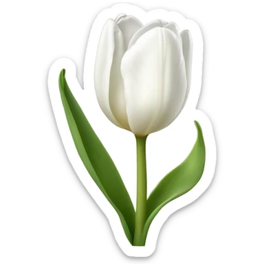 White tulip sticker