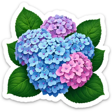 Realistic Still life detailed, Hydrangea macrophylla sticker