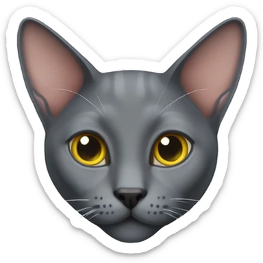 Korat cat sticker