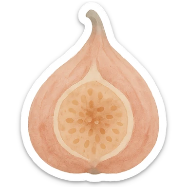 dried fig, soft and artistic watercolor sticker