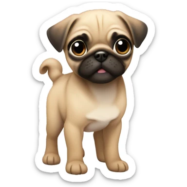 Fawn pug puppy  sticker