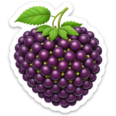 Blackberry sticker
