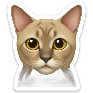 burmese cat sticker