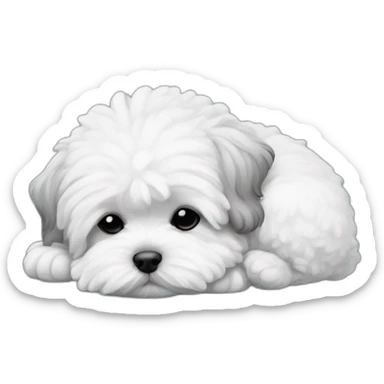 Maltipoo, black and white, sleeping sticker