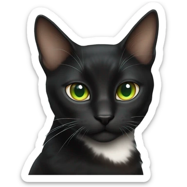 Black cat with white and orange and brown green blue eyes  sticker