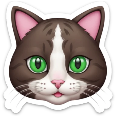 a cat with green eyes, lines on his head but he is a really dark brown and has white paws and a white neck and mouth fur and nose is pink sticker