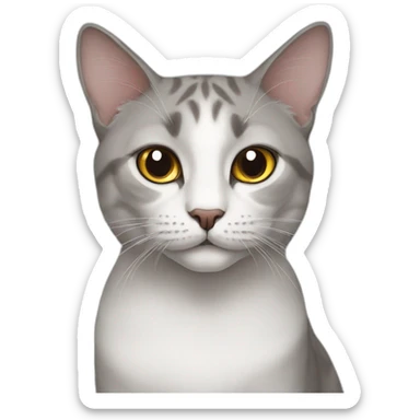 Doha cat sticker