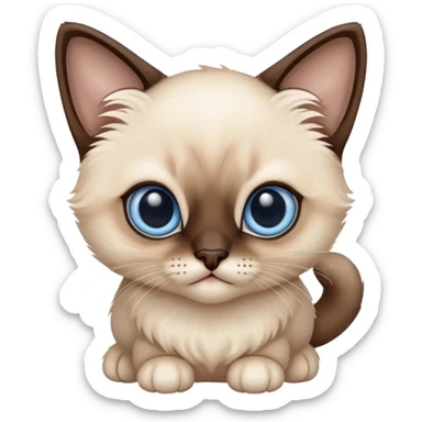 Siamese  kitten sticker