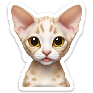 Devon rex kitten sticker