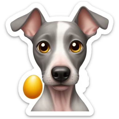 American Hairless Terrier eating Boiled egg sticker