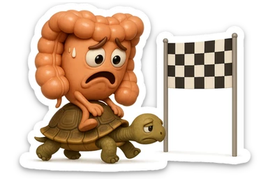  EMOJI STILE IPHONE 3D DI UN INTESTINO CON ESPRESSIONE ANGOSCIATA CHE CAMMINA SEDUTO IN GROPPA SUL GUSCIO DI UNA TARTARUGA IN ATTESA ESTENUANTE DI RAGGIUNGERE UN TRAGUARDO POCO PIù AVANTI, SULLA LORO DESTRA. IL TRAGUARDO è UNA BANDIERA A DUE PIEDI CON FASCIA A SCACCHI BIANCHI E NERI. iperrealistico 4k sticker