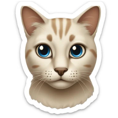 Katze blaue augen dunkelbraunes fell beiges gesicht sticker