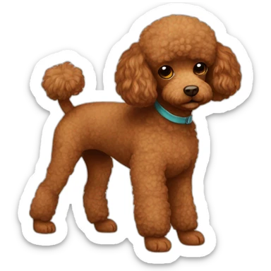 Brown-toy-poodle-with-teddy-bear-haircut sticker