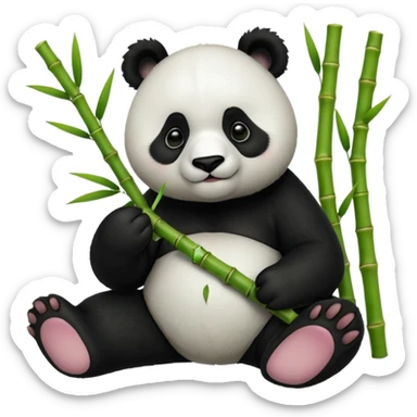 Panda eating bambus sticker
