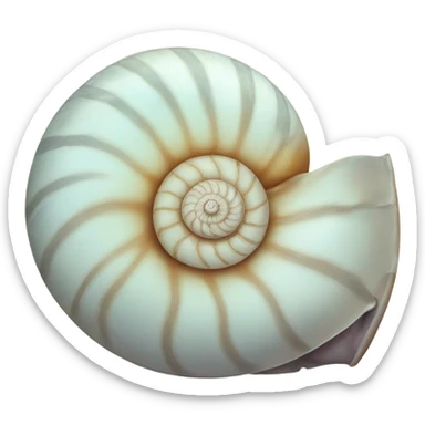 Nautilus shell sticker