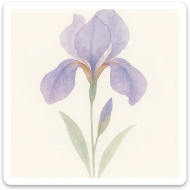 very detailed iris flower, watercolor art style, delicate petals, vibrant purples and blues, soft gradients, realistic botanical details sticker