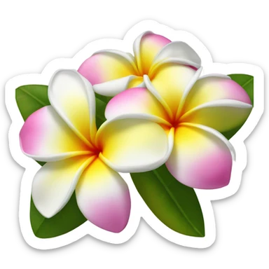 plumeria flower sticker