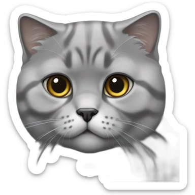 fully grey scottish fold cat sticker