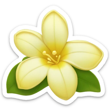 Yellow jasmine blossom flower sticker