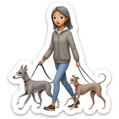 Beautiful Asian girl walking a solid grey Italian greyhound with absolutely no white markings, completely grey dog sticker