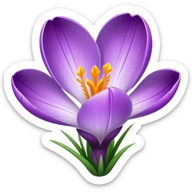 Crocus sticker