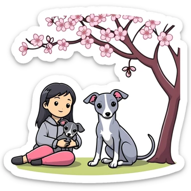 A young Chinese girl with long black hair and a dark grey Italian Greyhound with absolutely no white marks on its body or nose sitting under a cherry blossom tree sticker