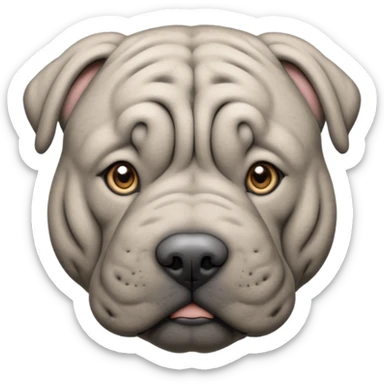 Grey blue shar pei with hazel eyes sticker