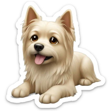 Dog mini York  sticker