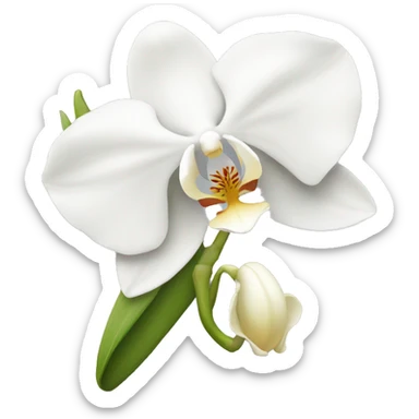 a white orchid  sticker