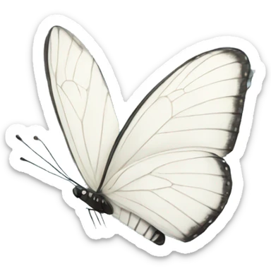 white butterfly flying in snow sticker